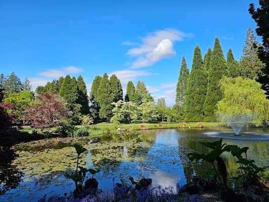 VanDusen Botanical Garden photo 3