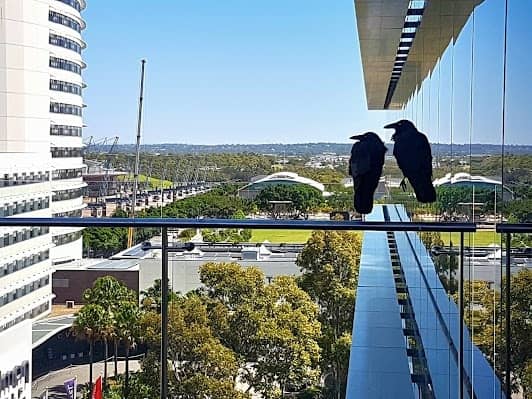 Sydney Olympic Park photo 2