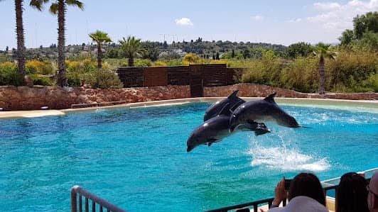 Attica Zoological Park photo 7