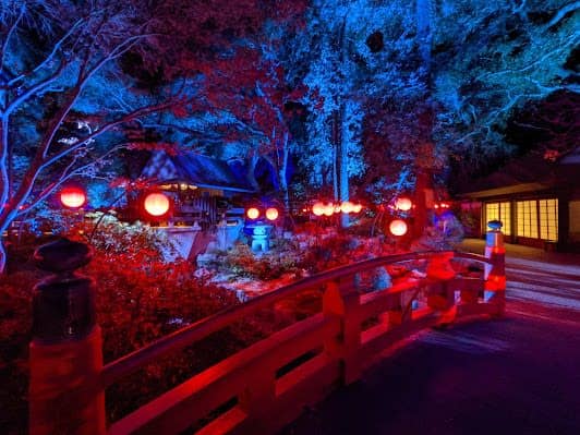 Descanso Gardens photo 4