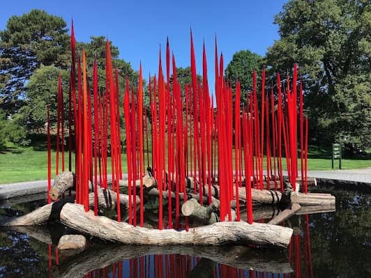 New York Botanical Garden photo 5
