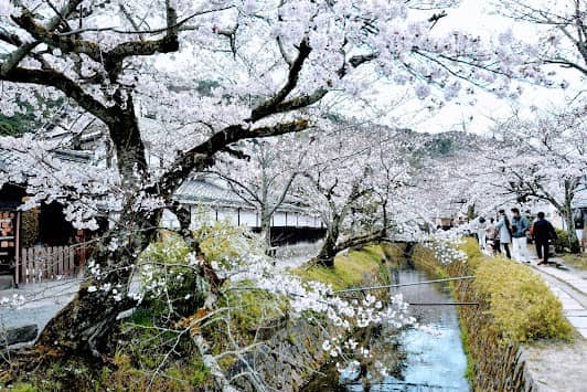 Tetsugaku No Michi photo 4