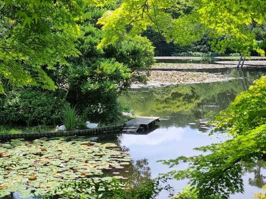 Ryōan-ji photo 5
