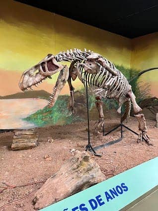 Earth Sciences Museum photo 4