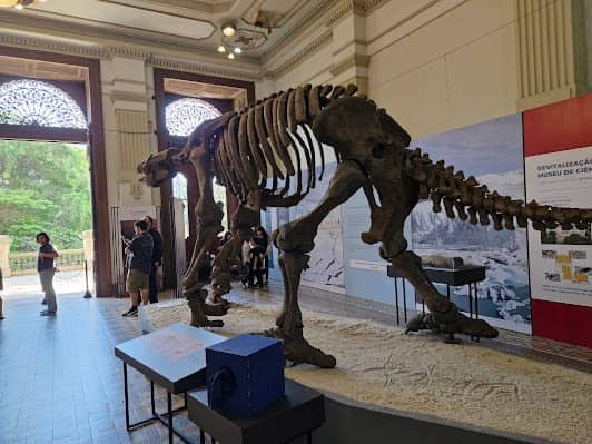 Earth Sciences Museum photo 5