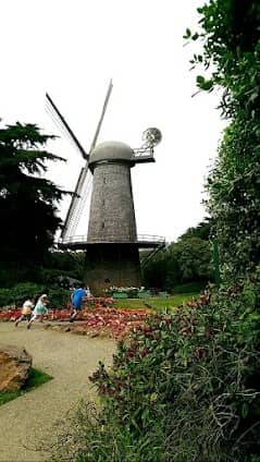 Golden Gate Park photo 4
