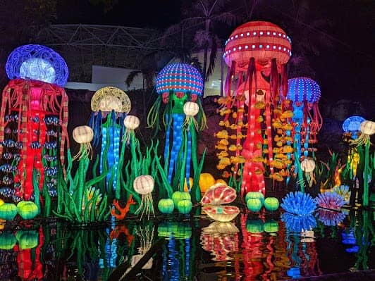 Jungle Island photo 5