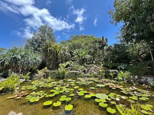 Fairchild Tropical Botanic Garden photo 5