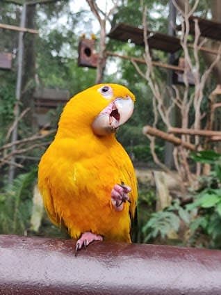 BioPark of Rio photo 3