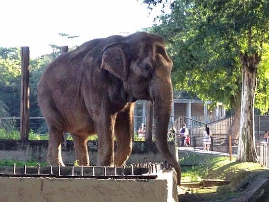 BioPark of Rio photo 4