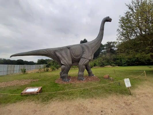 Wythenshawe Park & Gardens photo 2