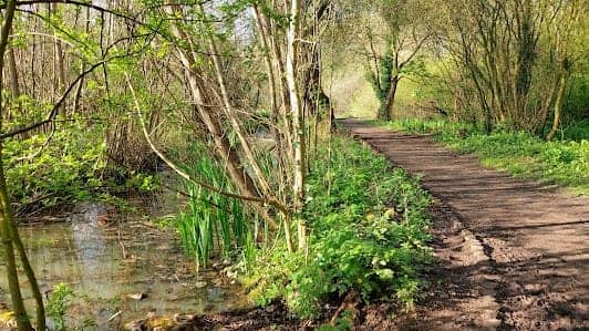 Heaton Mersey Common photo 3
