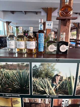 Cancun Tequila Tasting photo 5