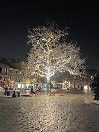 Campo Santa Margherita photo 5