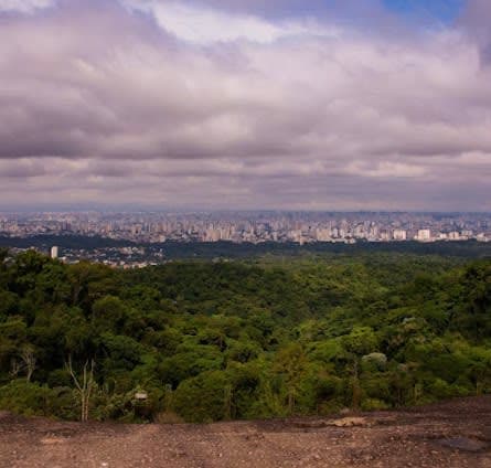Parque Estadual da Cantareira