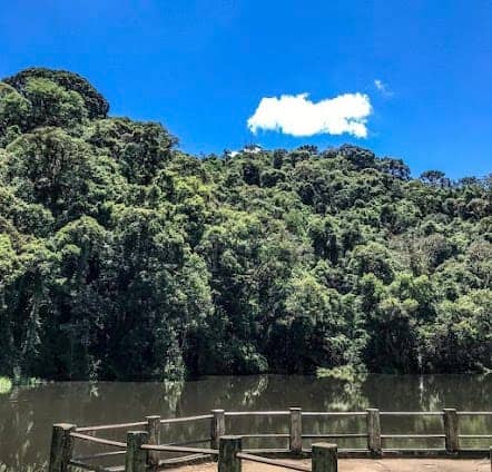 Parque Estadual da Cantareira photo 2