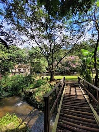 Parque Estadual da Cantareira photo 3