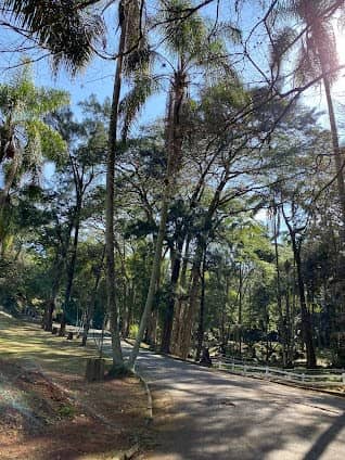 Parque Estadual da Cantareira photo 4