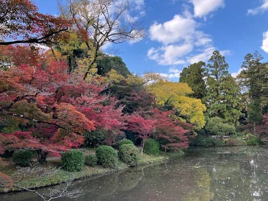 Kyoto Botanical Gardens photo 4