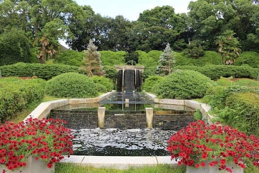 Kyoto Botanical Gardens photo 5
