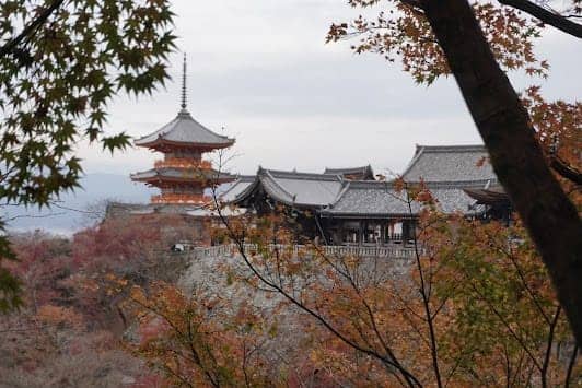 Higashiyama Ward photo 3