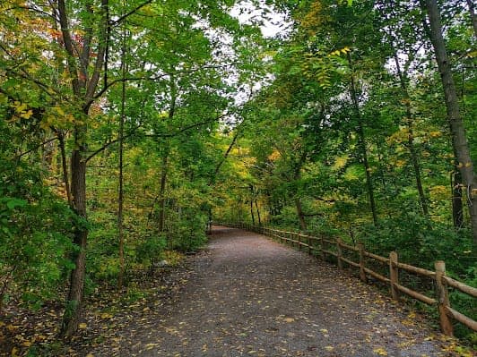 Moore Park Ravine