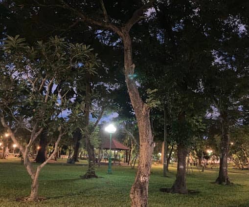 Le Van Tam Park photo 5