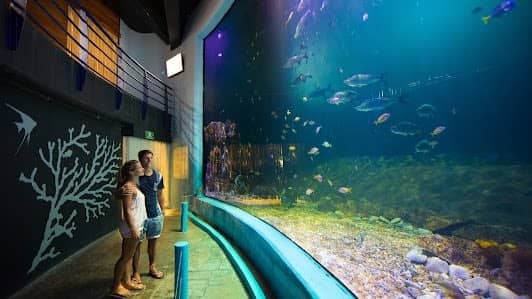 Interactive Aquarium Cancún photo 6