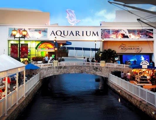 Interactive Aquarium Cancún photo 7