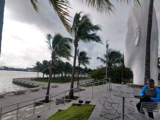 Pérez Art Museum Miami photo 4