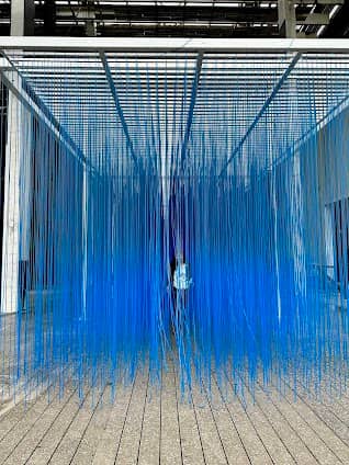Pérez Art Museum Miami photo 5
