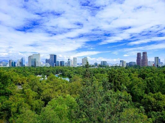 Bosque de Chapultepec photo 4