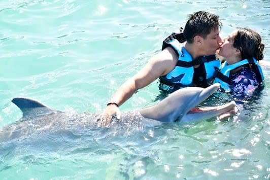 Dolphin Discovery Isla Mujeres photo 2