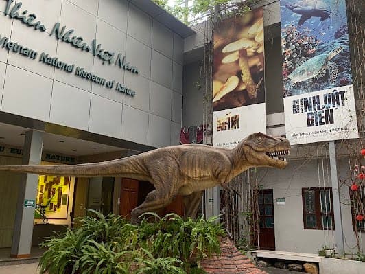 Vietnam National Museum of Nature