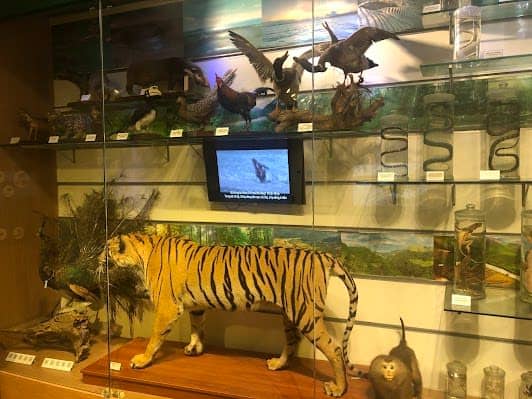 Vietnam National Museum of Nature photo 4