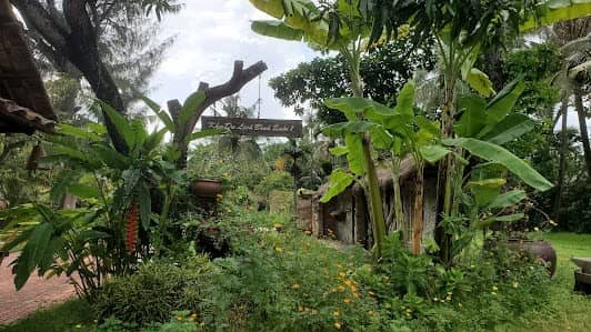 Bình Quới Tourist Village photo 5