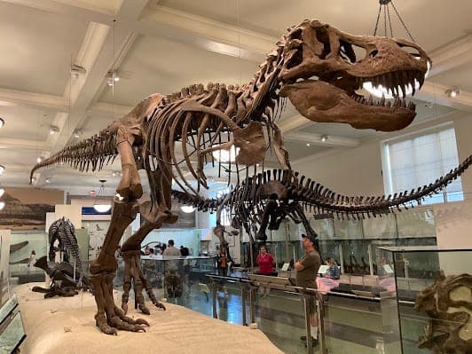 American Museum of Natural History