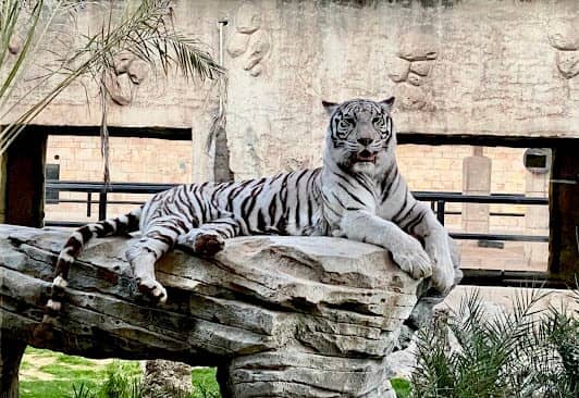 Emirates Park Zoo and Resort photo 5
