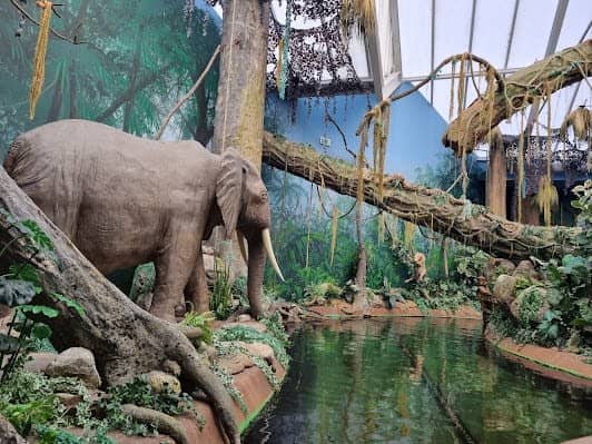 World of Discoveries photo 3