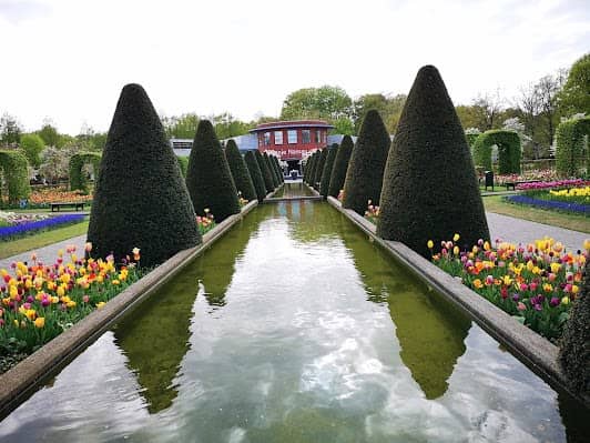 Keukenhof photo 4