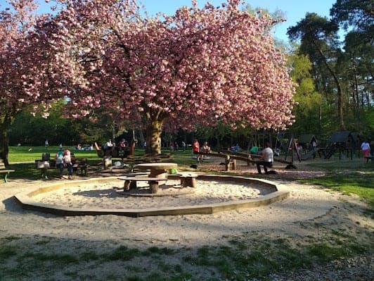 Carl-von-Weinberg-Park