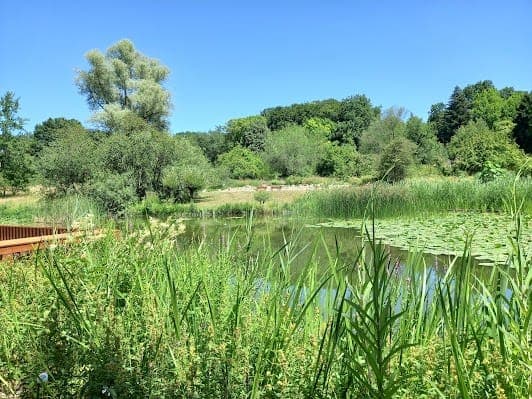 Botanischer Garten Frankfurt