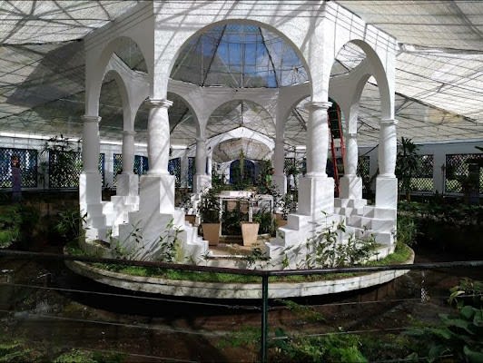 8-day itinerary in Rio de Janeiro, Brazil focusing on Top attractions and For kids