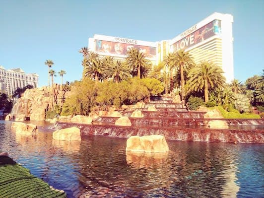 Las Vegas & New York, USA 8-day travel plan covering Top attractions and For kids itinerary cover