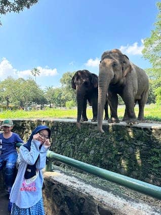 Ragunan Zoo photo 2