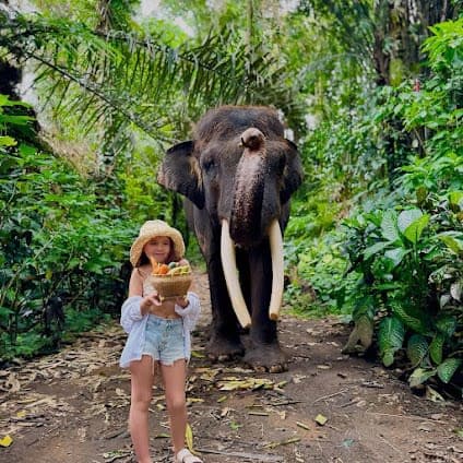 Mason Elephant Park & Lodge