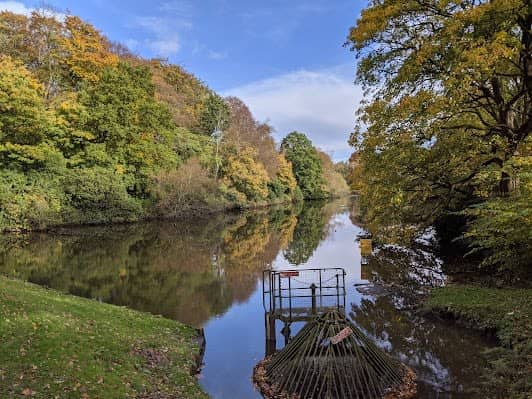 Worsley Woods photo 5