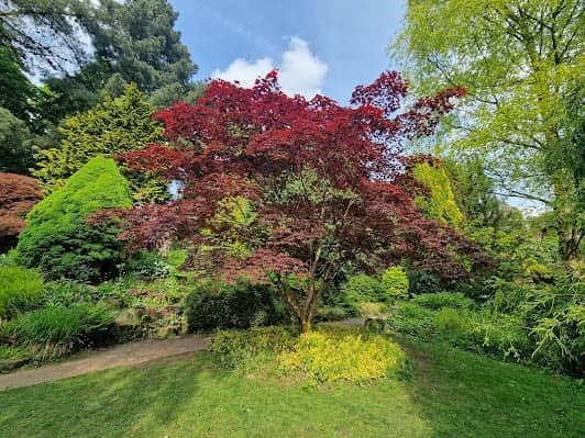 Fletcher Moss Botanical Garden photo 3