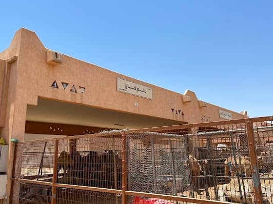 Al Ain Camel Market photo 5