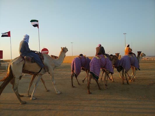 Al Wathba Camel Race Track BIG